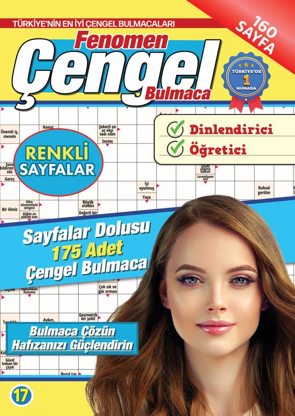 enomen Çengel Bulmaca 17